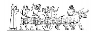 cart, wagon, ox, hauling, shipping, family, transportation, lifestyle, carts, wagons, oxen, families, transportations