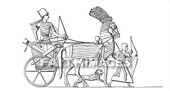 Egyptian, Chariot, horse, army, military, War, warfare, Bow, arrow, Clothing, dress, costume, Chariots, horses, armies, militaries, wars, bows, arrows, dresses, Costumes