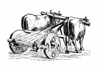 ox, cart, wagon, hauling, shipping, transportation, wheel, oxen, carts, wagons, transportations, wheels