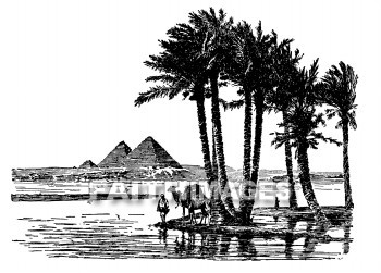 Pyramid, Egypt, tomb, grave, Pharaoh, palm, tree, Camel, Pyramids, tombs, Graves, pharaohs, palms, trees, camels