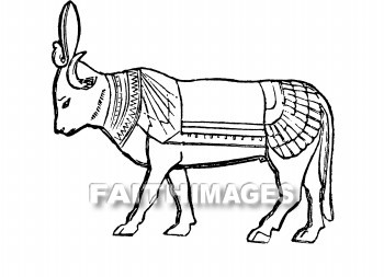 Apis, God, Egypt, Bull, animal, Worship, Gods, bulls, animals