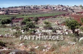 mamre, hebron, abraham, home, archaeology, ancient, culture, Ruin, homes, ancients, cultures, ruins