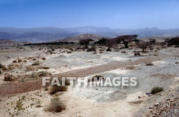 Negev, Negeb, creation, nature, Worship, background, Presentation, desert, wilderness, south, creations, natures, presentations, deserts, wildernesses