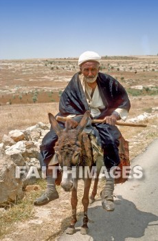 bedouin, man, donkey, staff, transportation, men, Donkeys, staffs, transportations