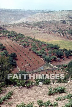 eschol, hebron, Valley, creation, nature, Worship, background, Presentation, spy, Grape, valleys, creations, natures, presentations, Spies, grapes