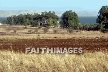 Capernaum, Galilee, Jesus, headquarters, home, ministry, field, tree, homes, ministries, fields, trees