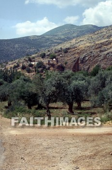 Philippi, Caesarea, foothill, hermon, mount, site, Transfiguration, foothills, mounts, sites