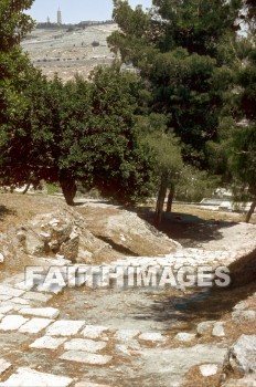 Gethsemane, room, upper, step, Roman, stone, rooms, steps, Romans, stones
