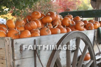 fruit, vegetable, wagon, food, Thanksgiving, giving, thanks, thankful, God, public, celebration, holiday, acknowledgment, divine, favor, kindness, grateful, gratitude, family, friend, Blessing, consecration, favor, grace, Praise, fall