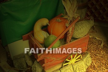 fruit, vegetable, food, Thanksgiving, giving, thanks, thankful, God, public, celebration, holiday, acknowledgment, divine, favor, kindness, grateful, gratitude, family, friend, Blessing, consecration, favor, grace, Praise, fall, harvest