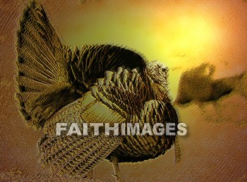 turkey, Fowl, bird, animal, dish, Thanksgiving, food, giving, thanks, thankful, public celebration, holiday, acknowledgment, divine, favor, kindness, grateful, gratitude, family, friend, Blessing, consecration, favor, grace, Praise, fall