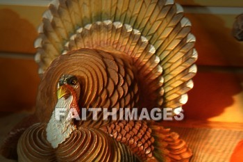 turkey, Fowl, bird, animal, dish, Thanksgiving, giving, thanks, thankful, public celebration, holiday, acknowledgment, divine, favor, kindness, grateful, gratitude, family, friend, Blessing, consecration, favor, grace, Praise, fall, harvest