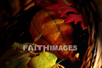 gords, pumpkin, leaf, Thanksgiving, giving, thanks, thankful, God, public, celebration, holiday, acknowledgment, divine, favor, kindness, grateful, gratitude, family, friend, Blessing, consecration, favor, grace, Praise, fall, harvest