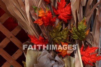 leaf, color, colorful, Thanksgiving, giving, thanks, thankful, God, public, celebration, holiday, acknowledgment, divine, favor, kindness, grateful, gratitude, family, friend, Blessing, consecration, favor, grace, Praise, fall, harvest