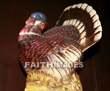 turkey, Fowl, bird, animal, dish, Thanksgiving, giving, thanks, thankful, public celebration, holiday, acknowledgment, divine, favor, kindness, grateful, gratitude, family, friend, Blessing, consecration, grace, Praise, fall, thanksgivings, celebrations