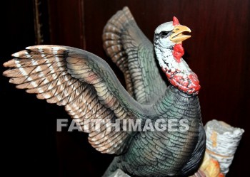 turkey, Fowl, bird, animal, dish, Thanksgiving, giving, thanks, thankful, public celebration, holiday, acknowledgment, divine, favor, kindness, grateful, gratitude, family, friend, Blessing, consecration, grace, Praise, fall, thanksgivings, celebrations