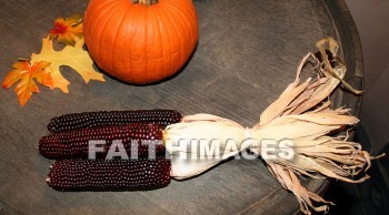 Corn, pumpkin, Thanksgiving, giving, thanks, thankful, public celebration, holiday, acknowledgment, divine, favor, kindness, grateful, gratitude, family, friend, Blessing, consecration, grace, Praise, fall, harvest, pumpkins, thanksgivings, celebrations, holidays