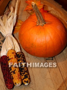 Corn, pumpkin, Thanksgiving, giving, thanks, thankful, public celebration, holiday, acknowledgment, divine, favor, kindness, grateful, gratitude, family, friend, Blessing, consecration, grace, Praise, fall, harvest, pumpkins, thanksgivings, celebrations, holidays