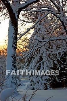 sunset, sundown, evening, eventide, eve, winter, coldest, season, cold, coldness, Frozen, freeze, Precipitation, white, translucent, ice, crystal, soft, white, flakes.snow, flake, vapor, watery, particle, Falling, Beautiful