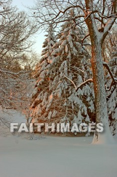 winter, coldest, season, cold, coldness, Frozen, freeze, Precipitation, white, translucent, ice, crystal, soft, white, flakes.snow, flake, vapor, watery, particle, Falling, Beautiful, winters, seasons, precipitations, whites, ices