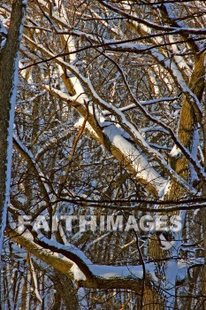 winter, coldest, season, cold, coldness, Frozen, freeze, Precipitation, white, translucent, ice, crystal, soft, white, flakes.snow, flake, vapor, watery, particle, Falling, Beautiful, winters, seasons, precipitations, whites, ices