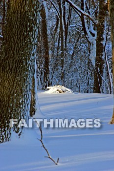 winter, coldest, season, cold, coldness, Frozen, freeze, Precipitation, white, translucent, ice, crystal, soft, white, flakes.snow, flake, vapor, watery, particle, Falling, Beautiful, winters, seasons, precipitations, whites, ices