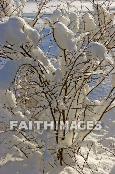 winter, coldest, season, cold, coldness, Frozen, freeze, Precipitation, white, translucent, ice, crystal, soft, white, flakes.snow, flake, vapor, watery, particle, Falling, Beautiful, winters, seasons, precipitations, whites, ices