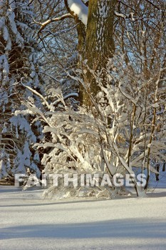 winter, coldest, season, cold, coldness, Frozen, freeze, Precipitation, white, translucent, ice, crystal, soft, white, flakes.snow, flake, vapor, watery, particle, Falling, Beautiful, winters, seasons, precipitations, whites, ices