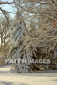 winter, coldest, season, cold, coldness, Frozen, freeze, Precipitation, white, translucent, ice, crystal, soft, white, flakes.snow, flake, vapor, watery, particle, Falling, Beautiful, winters, seasons, precipitations, whites, ices