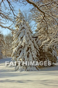 winter, coldest, season, cold, coldness, Frozen, freeze, Precipitation, white, translucent, ice, crystal, soft, white, flakes.snow, flake, vapor, watery, particle, Falling, Beautiful, winters, seasons, precipitations, whites, ices