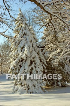 winter, coldest, season, cold, coldness, Frozen, freeze, Precipitation, white, translucent, ice, crystal, soft, white, flakes.snow, flake, vapor, watery, particle, Falling, Beautiful, winters, seasons, precipitations, whites, ices