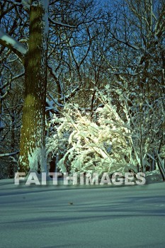 winter, coldest, season, cold, coldness, Frozen, freeze, Precipitation, white, translucent, ice, crystal, soft, white, flakes.snow, flake, vapor, watery, particle, Falling, Beautiful, winters, seasons, precipitations, whites, ices