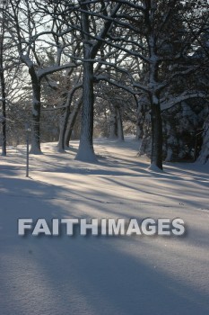 winter, coldest, season, cold, coldness, Frozen, freeze, Precipitation, white, translucent, ice, crystal, soft, white, flakes.snow, flake, vapor, watery, particle, Falling, Beautiful, winters, seasons, precipitations, whites, ices