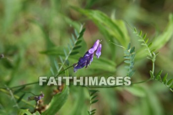 flower, flower, summer, warmest, season, year, warm, sunshine, sun, hot, outdoors, flowers, summers, seasons, years, suns