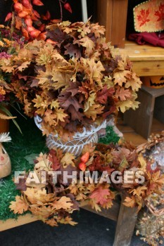 autumn, fall, season, harvest, foliage, grown, fair, weather, mature, falls, seasons, harvests, foliages, fairs, weathers