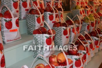 apples, food, autumn, fall, season, harvest, foliage, grown, fair, weather, mature, foods, falls, seasons, harvests, foliages, fairs, weathers