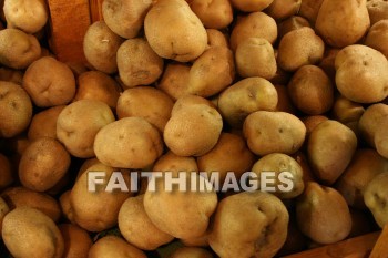 potatoe, potato, new, autumn, fall, season, harvest, foliage, grown, fair, weather, mature, potatoes, falls, seasons, harvests, foliages, fairs, weathers