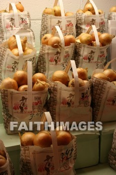 onion, yellow, autumn, fall, season, harvest, foliage, grown, fair, weather, mature, onions, yellows, falls, seasons, harvests, foliages, fairs, weathers