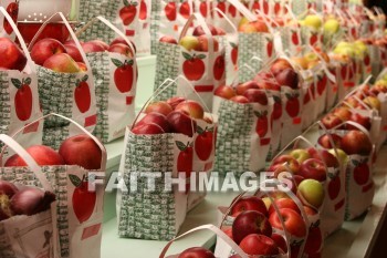 apples, food, autumn, fall, season, harvest, foliage, grown, fair, weather, mature, foods, falls, seasons, harvests, foliages, fairs, weathers