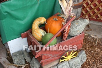 wagon, festival, covered, autumn, fall, season, harvest, foliage, grown, fair, weather, mature, wagons, festivals, falls, seasons, harvests, foliages, fairs, weathers