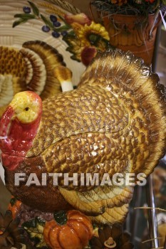 turkey, Fowl, bird, animal, Thanksgiving, autumn, fall, season, harvest, foliage, grown, fair, weather, mature, turkeys, birds, animals, falls, seasons, harvests, foliages, fairs, weathers