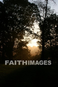 evening, dusk, mist, shadow, tree, autumn, fall, season, harvest, foliage, grown, fair, weather, mature, evenings, dusks, mists, shadows, trees, falls, seasons, harvests, foliages, fairs, weathers