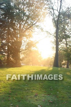 evening, dusk, mist, shadow, tree, autumn, fall, season, harvest, foliage, grown, fair, weather, mature, evenings, dusks, mists, shadows, trees, falls, seasons, harvests, foliages, fairs, weathers