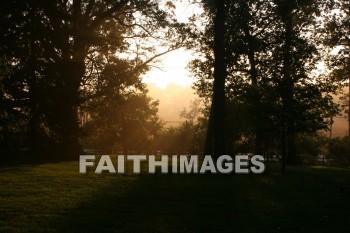 evening, dusk, mist, shadow, tree, autumn, fall, season, harvest, foliage, grown, fair, weather, mature, evenings, dusks, mists, shadows, trees, falls, seasons, harvests, foliages, fairs, weathers