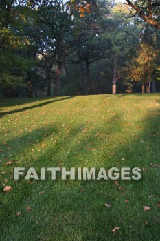 evening, dusk, mist, shadow, tree, autumn, fall, season, harvest, foliage, grown, fair, weather, mature, evenings, dusks, mists, shadows, trees, falls, seasons, harvests, foliages, fairs, weathers