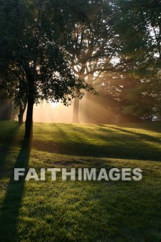 evening, dusk, mist, shadow, tree, autumn, fall, season, harvest, foliage, grown, fair, weather, mature, evenings, dusks, mists, shadows, trees, falls, seasons, harvests, foliages, fairs, weathers