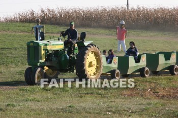 tractor, autumn, fall, season, harvest, foliage, grown, fair, weather, mature, tractors, falls, seasons, harvests, foliages, fairs, weathers