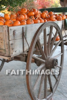 wagon, festival, covered, autumn, fall, season, harvest, foliage, grown, fair, weather, mature, wagons, festivals, falls, seasons, harvests, foliages, fairs, weathers