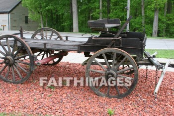 wagon, spring, springtime, season, growth, bud, fresh, daytime, nature, flora, outdoors, sunlight, sunshine, outside, flower, plant, natural, wagons, springs, seasons, buds, daytimes, natures, outsides, flowers, plants