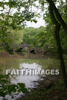 stream, creek, tree, spring, springtime, season, growth, bud, fresh, daytime, nature, flora, outdoors, sunlight, sunshine, outside, flower, plant, natural, streams, creeks, trees, springs, seasons, buds, daytimes